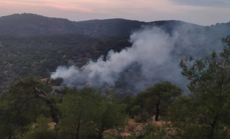 Gaziantep'te Orman Yangını Haberleri: 4 Dönümlik Alan Zarar Gördü