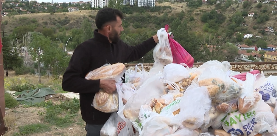 14 Aydır Ekmekleri Çöpten Kurtarıp Hayvanlara Ulaştırıyor