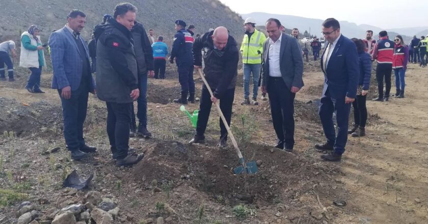 Ulusal Ağaçlandırma Günü münasebetiyle Kastamonu ilçelerinde fidanlar dikildi