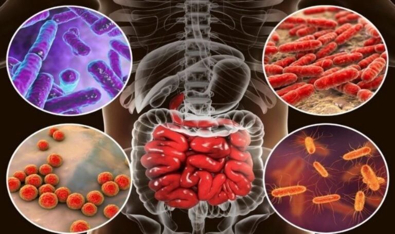 Bağırsak enfeksiyonları çocuklar için bir tehdittir: Bunları önlemek için ne gibi önlemler alınmalıdır? – Güncel sağlık haberleri