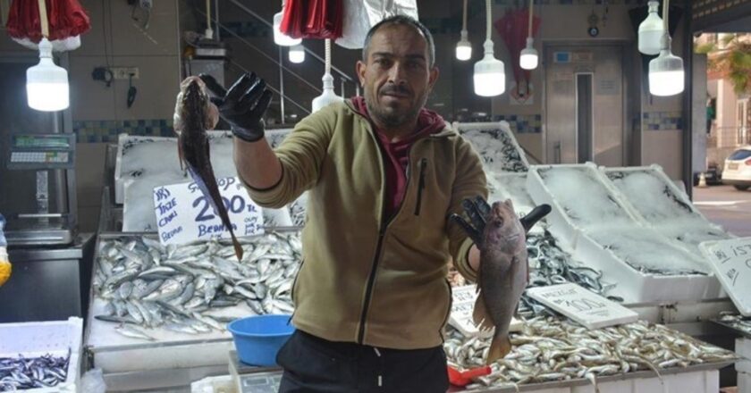 Çok nadiren yakalanır! Böbrek taşlarını yok ettiğine inanılıyor: Kilosu 200 TL… – Son Dakika Hayat Haberleri