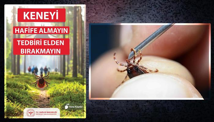 Kkka geri döndü … Nane ısırığı beni hasta edebilir! İletim riskine karşı önlemler alın! Uzmanlar uyarıyor …