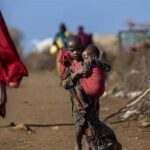 Afrika’daki en zengin 4 isim kıta nüfusunun yarısından fazlasına sahiptir.