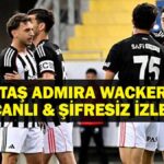 Admin Wacker Besiktas Canlı İzleme Maçı | Amira Wacker