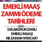 Preziosa Farkı 4A, 4B, 4C Gezi Tarihi 2025 | SSK, Bagkur, sosyal güvenlik zamanındaki fark için emeklilik maaşı yatağa gidecek, yatacak, ayın kaçına verilecek? SSI tahsisi numarasına göre gün emeklilik emekli maaşı!