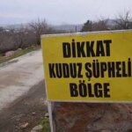 SIRT’teki Kuduz Dus: Hayvan hareketlerine kısıtlama! – Türkiye haberlerini kırmak