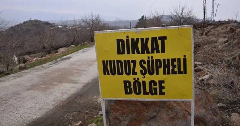 SIRT’teki Kuduz Dus: Hayvan hareketlerine kısıtlama! – Türkiye haberlerini kırmak