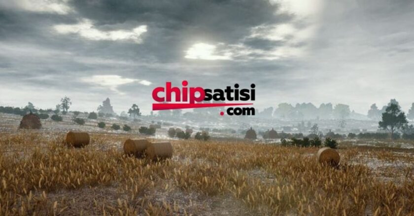 Güvenilir Chip Satın Almanın Yeni Adresi – Kurumsal Kalite