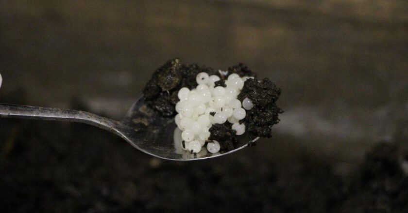 Pandemi Sürecinde Üretime Geçen Trabzonlu Firma, Değeri Göz Ardı Ediliyor!