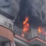 Manisa’da yangın felaketi: Altı kedi hayatını kaybetti